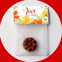 samenbombe-summertime-let-love-grow