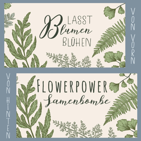 Samenbombe Botany Lasst blumen blühen